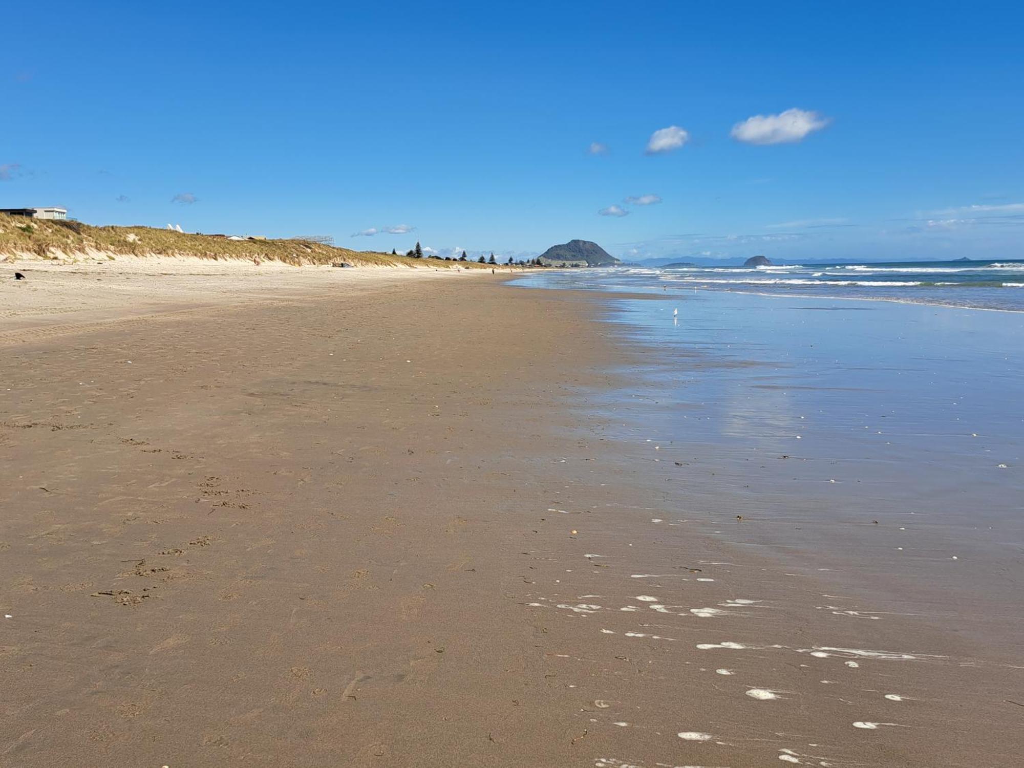 Sunbrae Beach Sanctuary Free High Fibre Wifi マウント・マウンガヌイ エクステリア 写真